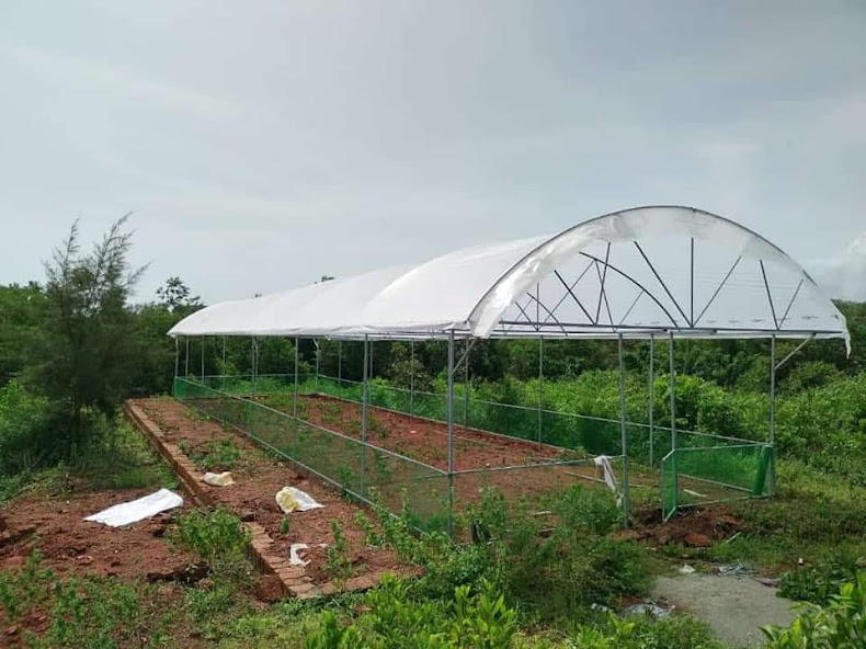 Calculating the Perfect Pond Liner Size Supreme Traders Tarpaulin